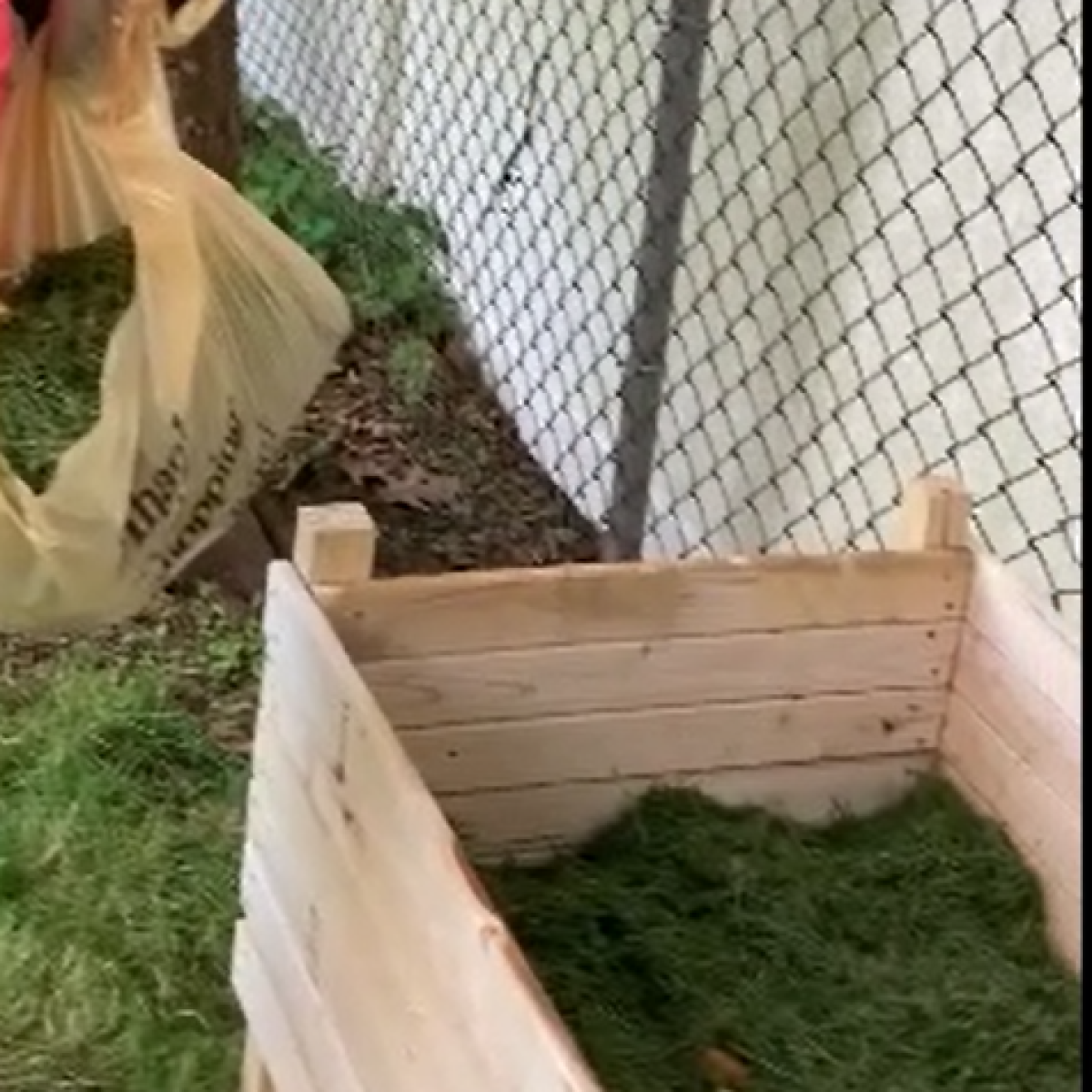 grass